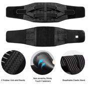 Back support belt reinforced panel
